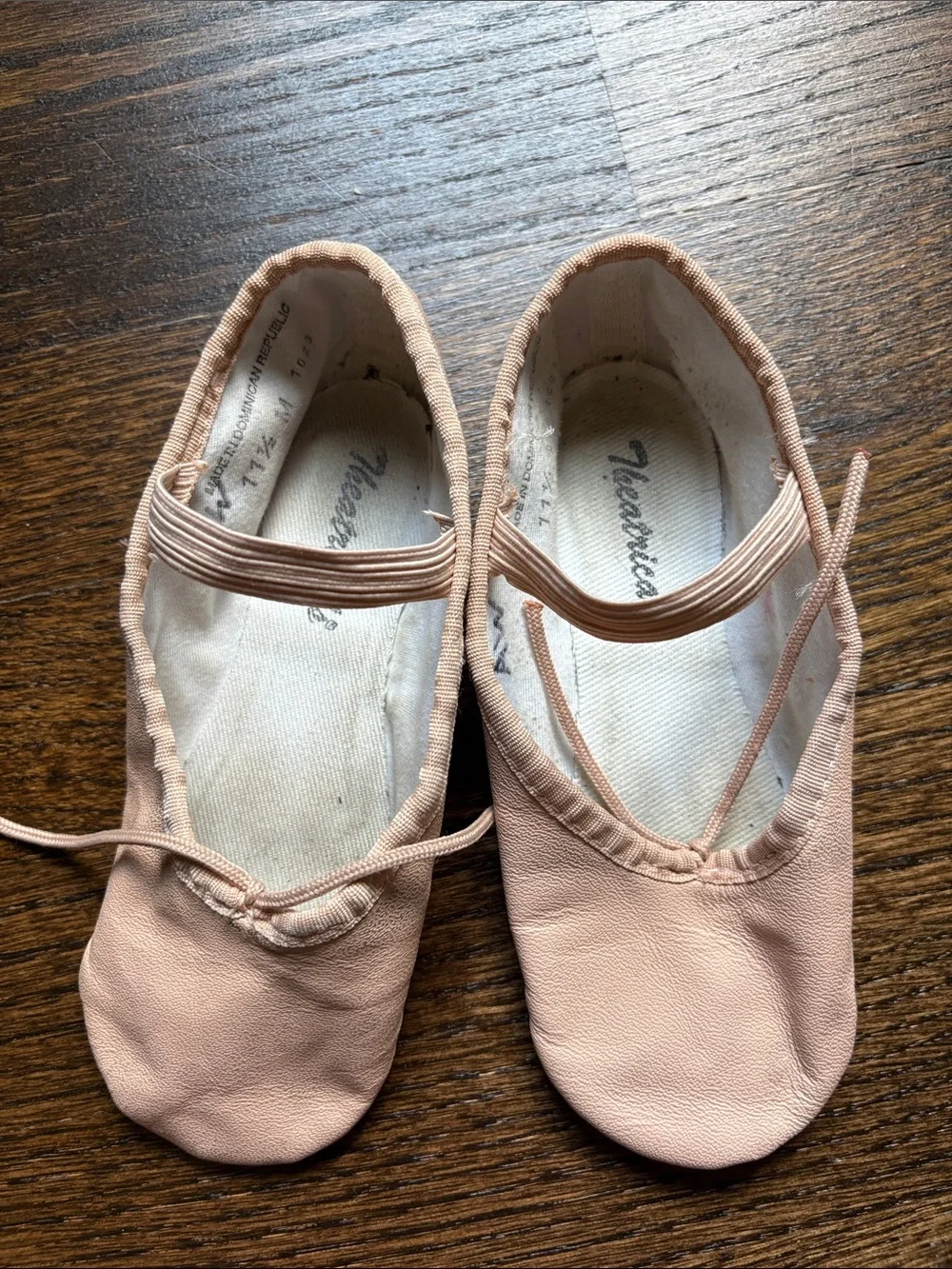 Ballet and Tap Shoes in Size 11.5